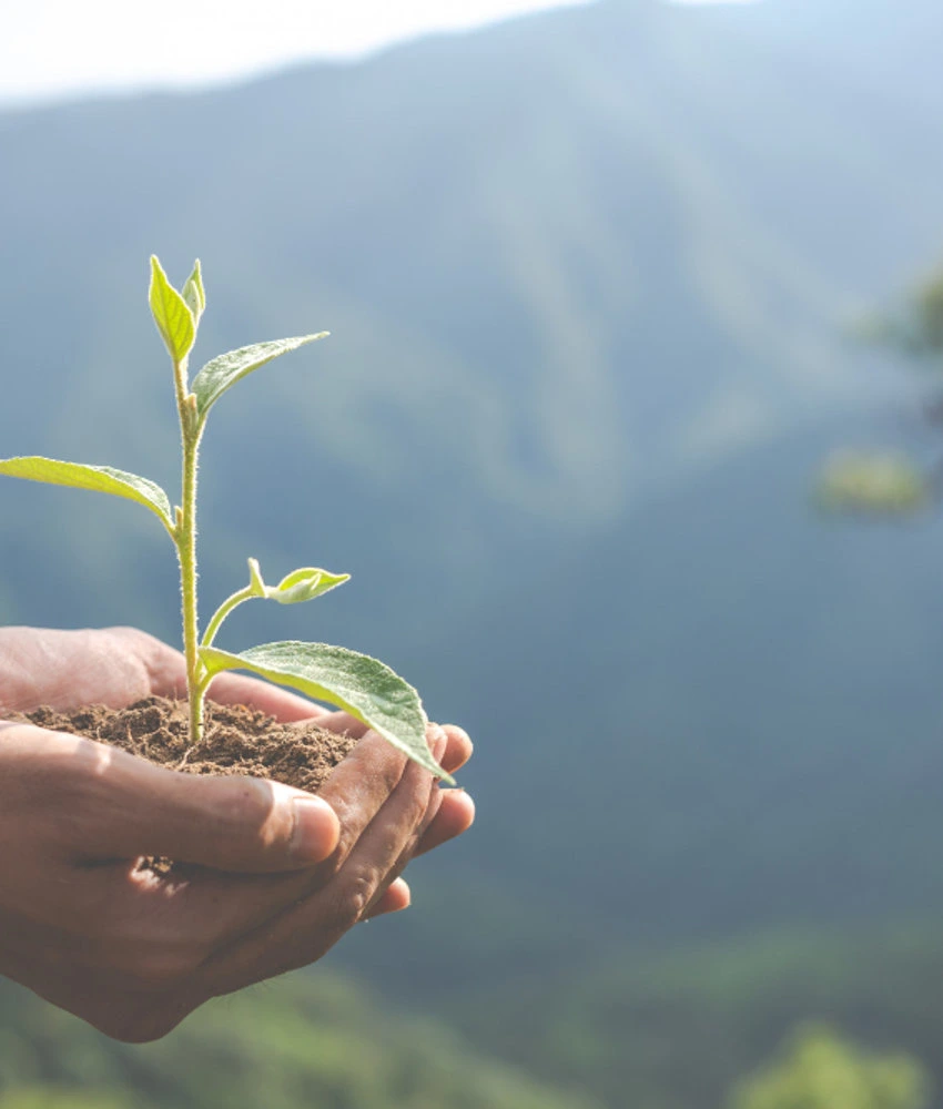 Hands protecting a green earth